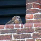 2406F 24 Bad Zwischenahn